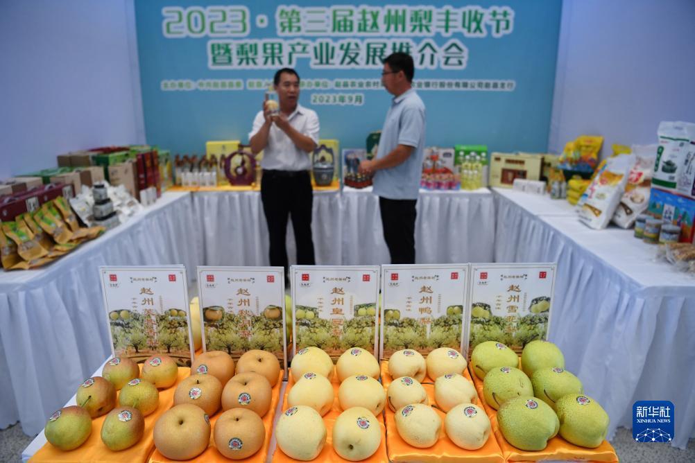 威尼斯手机端